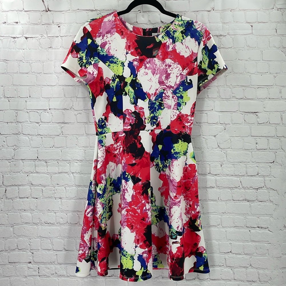 Milly for Design Nation Floral Fit & Flare Dress Short Sleeve Rosabella Combo 10